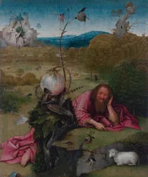 Saint John the Baptist in the Wilderness
